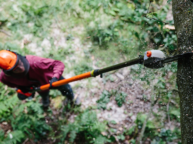 Produkte Hochentaster