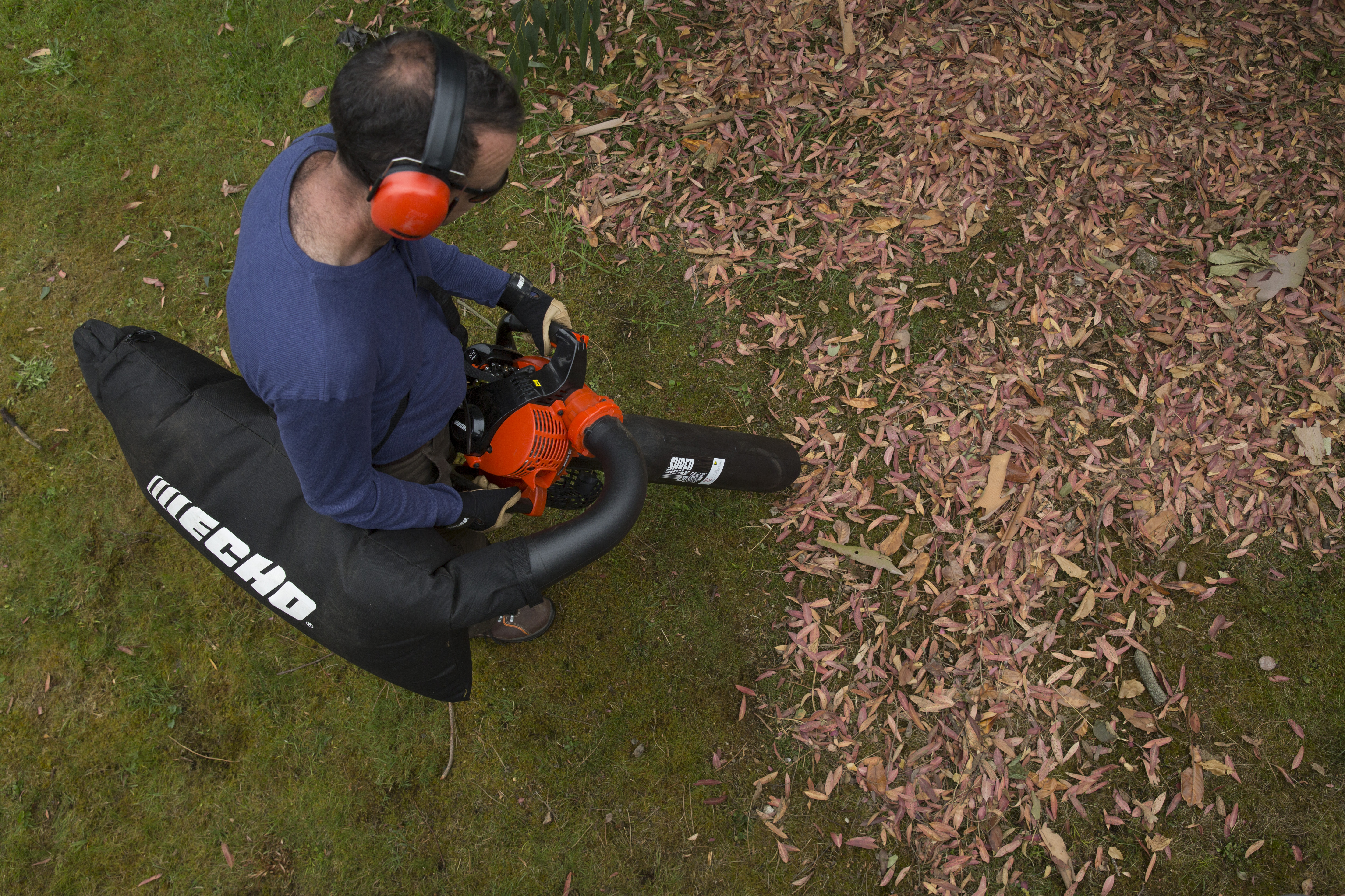 ES 255ES 2016 (22) ES 255ES 2016 (22)