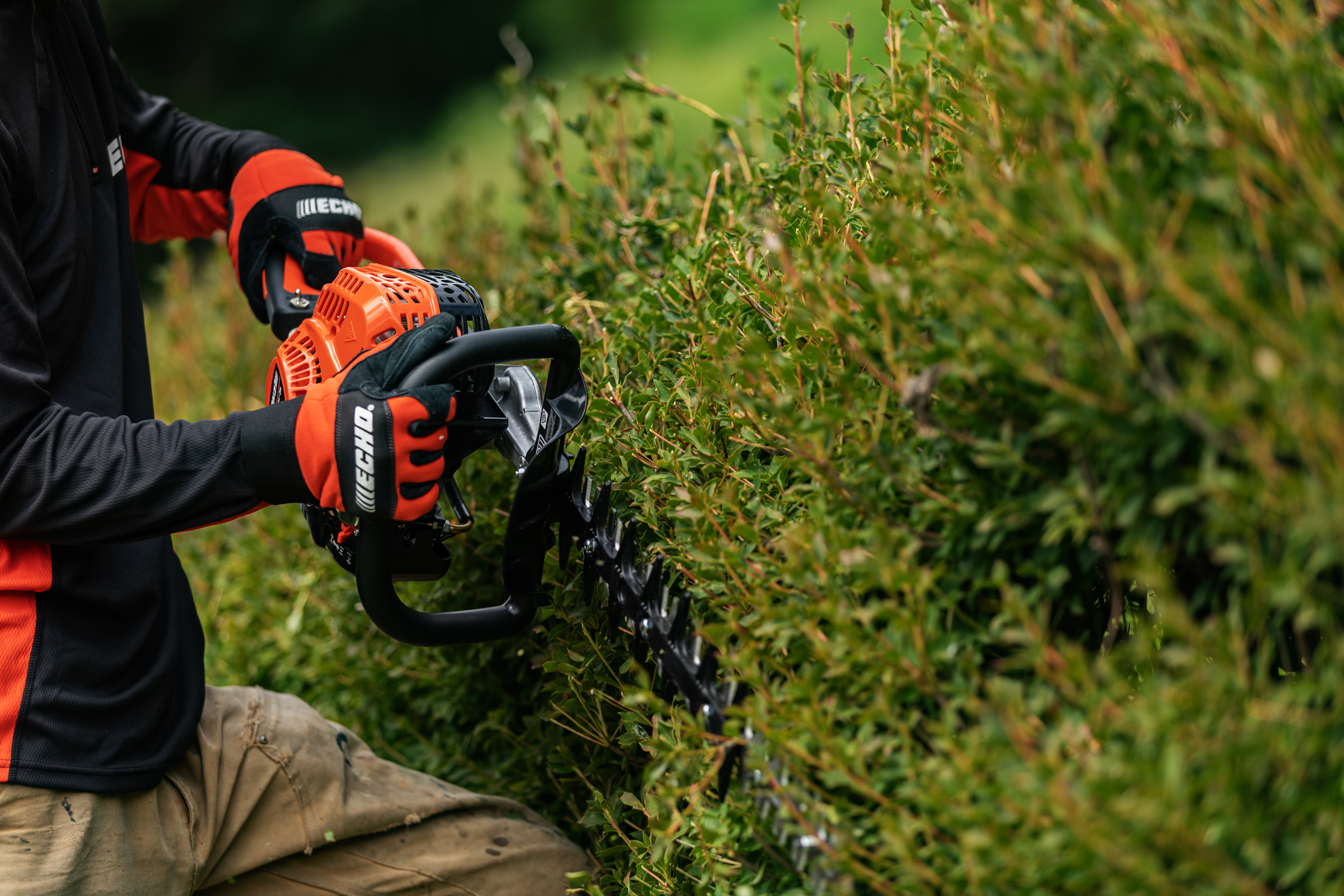 HC-2020 2019 (5) HC-2020 2019 (5)